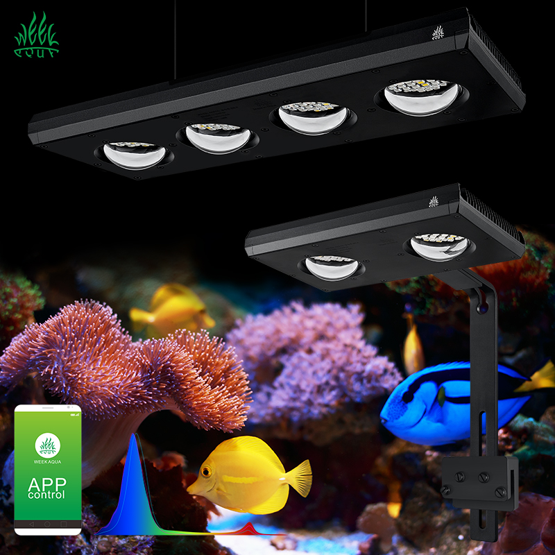 Aquarium Marine Blue - ZXY offre spéciale WEEKAQUA Z250 Z400sea