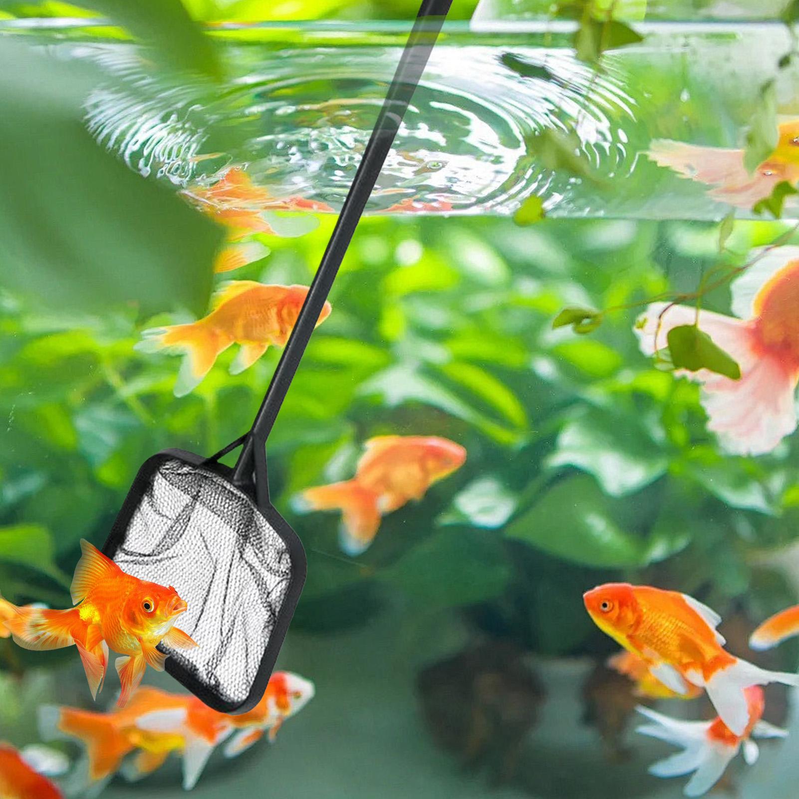 Filets de nettoyage pour pisci - Marine Aquarium Equipment avis et prix