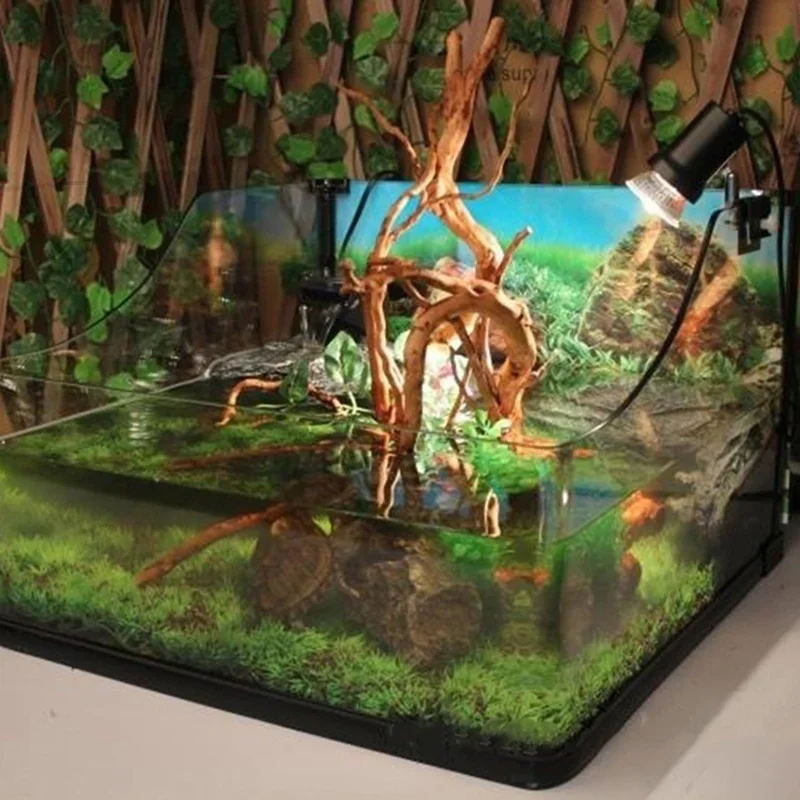 Tronc d'Arbre Naturel en Bois  - Marine Aquarium For Sale avis et prix