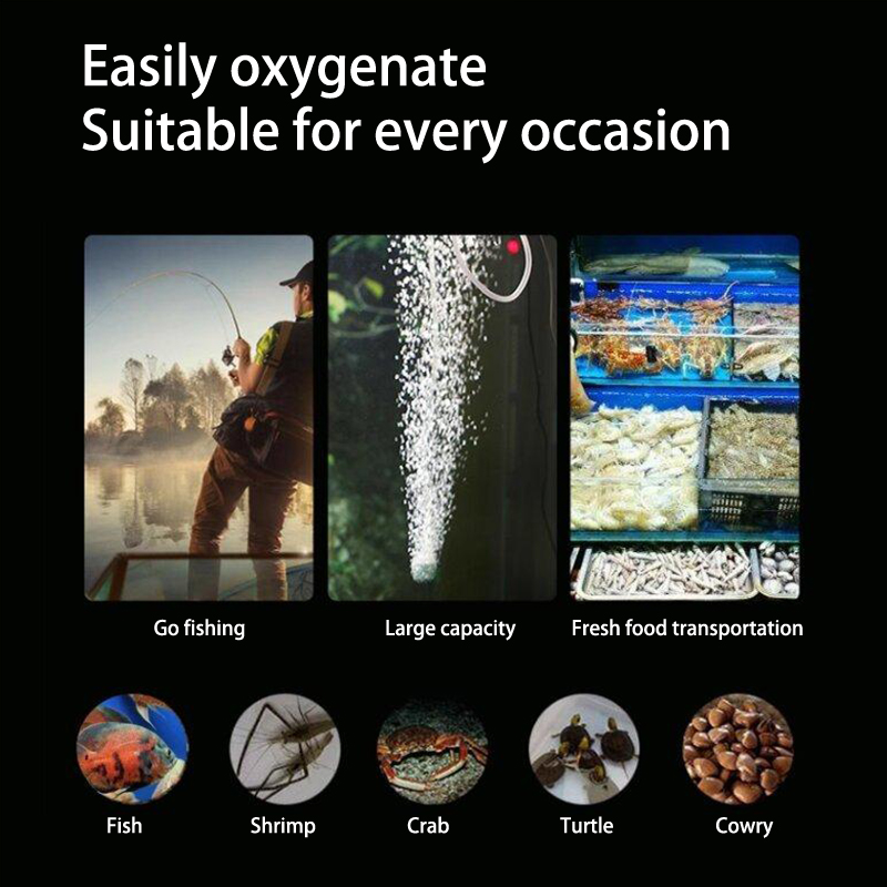 Kit de mini pompe à oxygène po - Marine Aquarium Equipment avis et prix