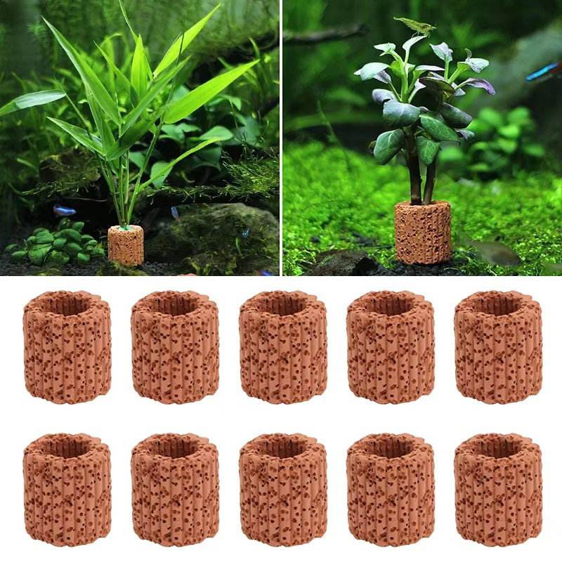 Anneau fixe pour plantes aquat - Marine Aquarium For Sale avis et prix