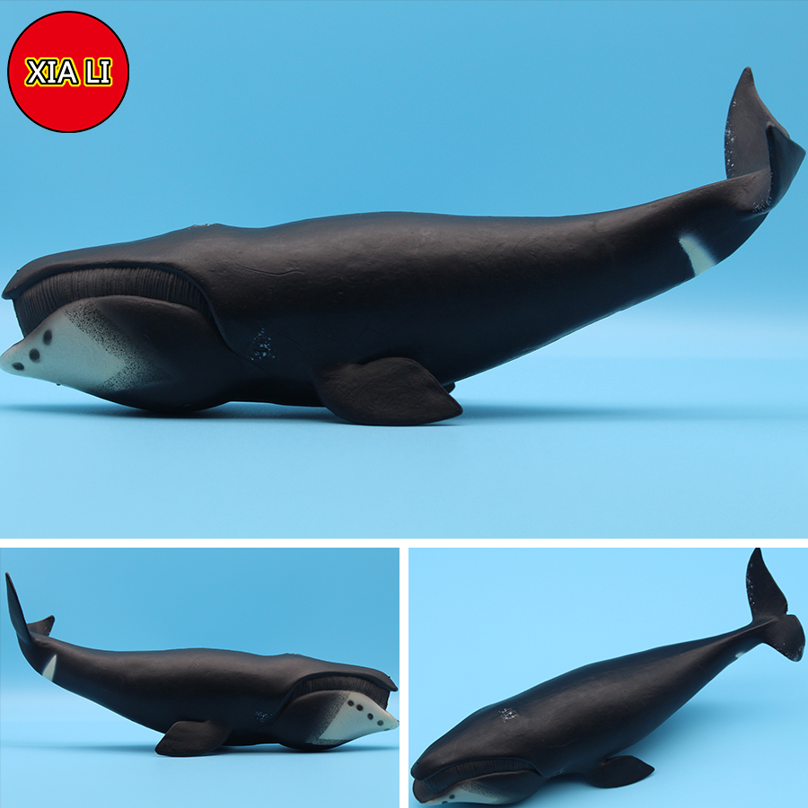 Figurines de simulation de la  - Aquarium Marine Blue avis et prix