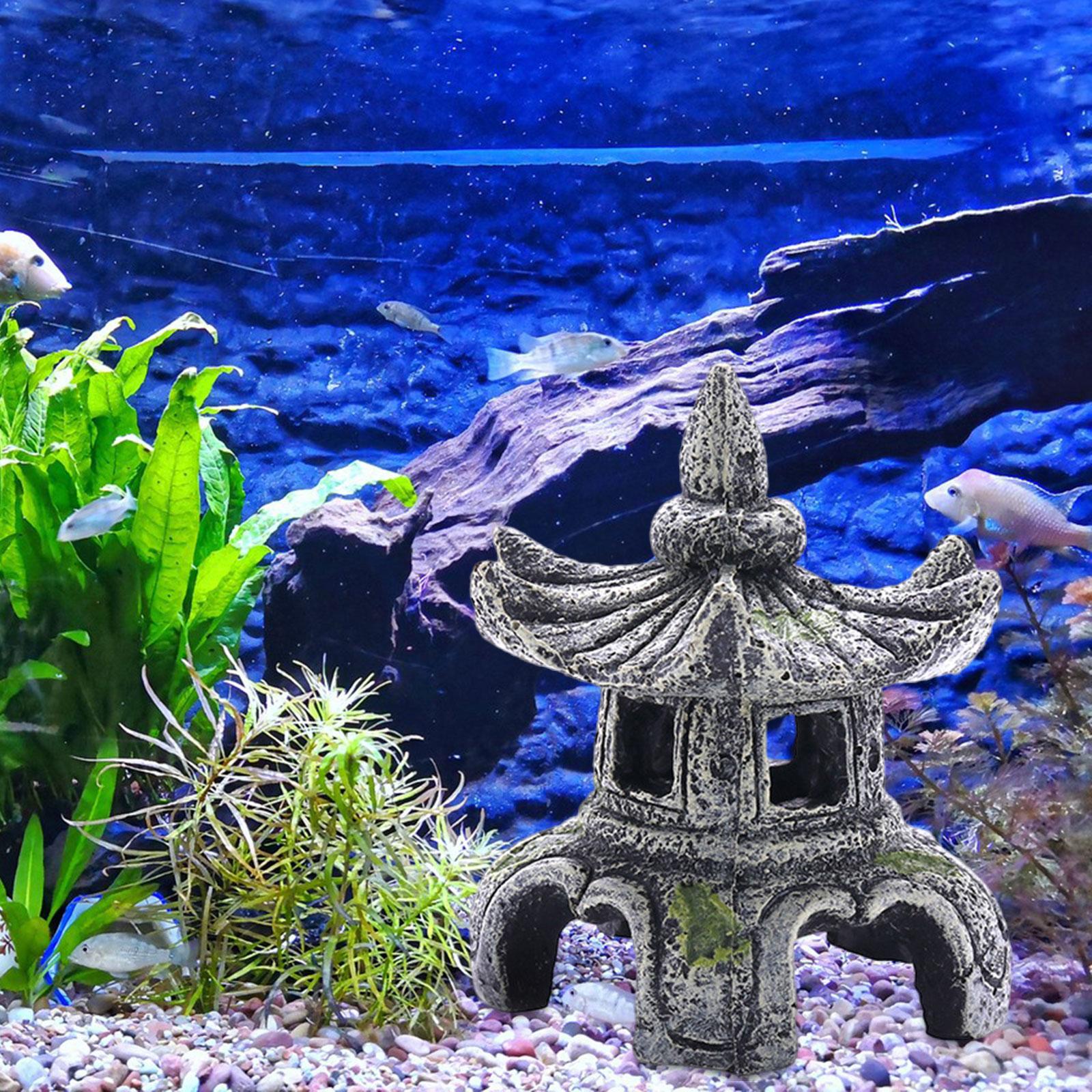 Ornement d'aquarium, accessoir - Marine Aquarium For Sale avis et prix