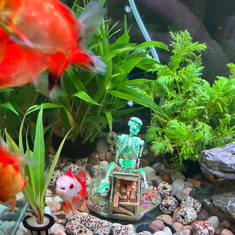 Pompe à Air à bulles pour Aqua - Marine Aquarium For Sale avis et prix