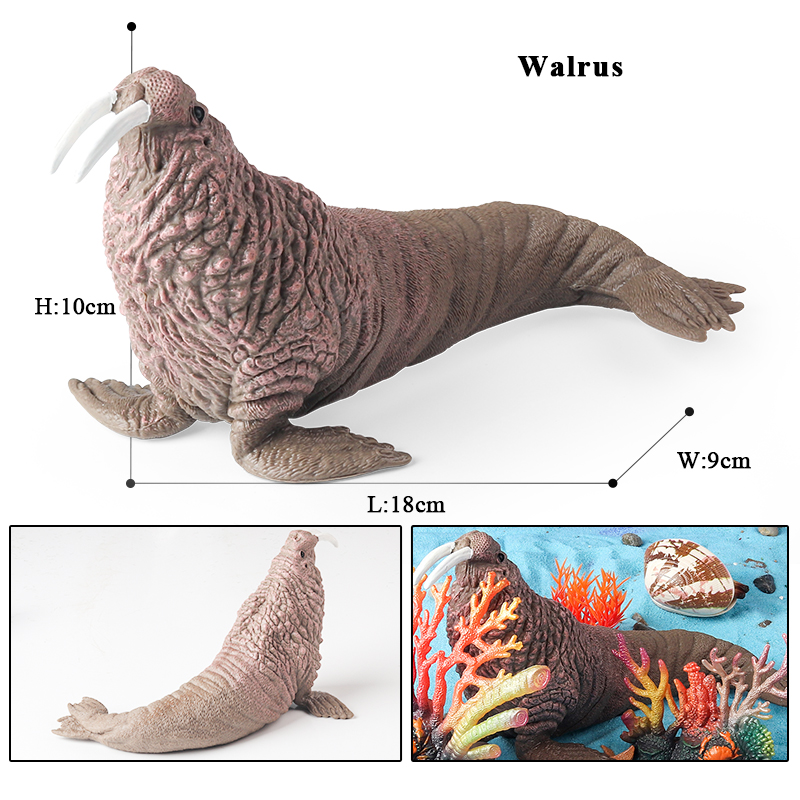 Oenux Nouveaux modèles d'anima - Aquarium Marine Blue avis et prix
