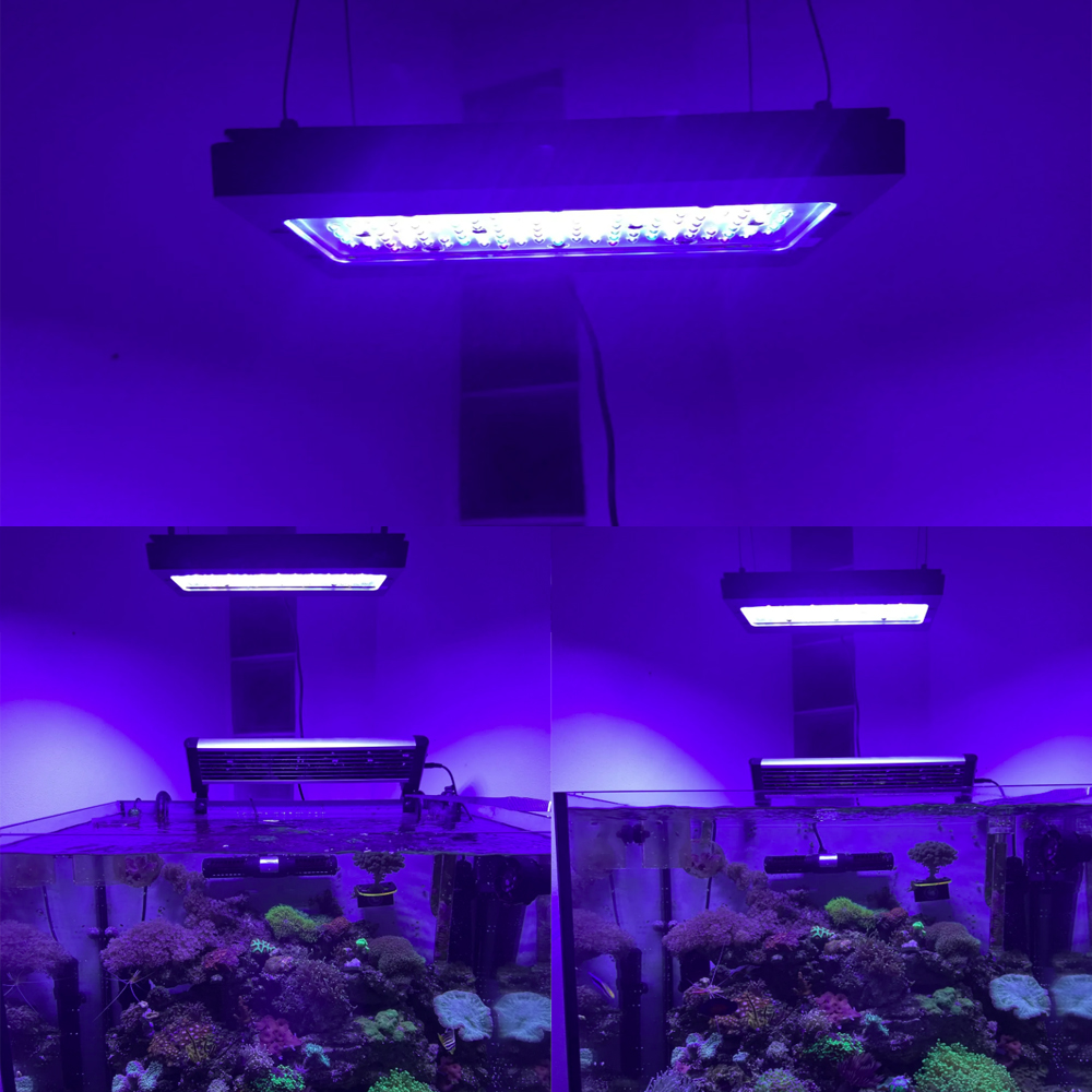 Lampe LED pour aquarium marin  - Aquarium Marine Blue avis et prix