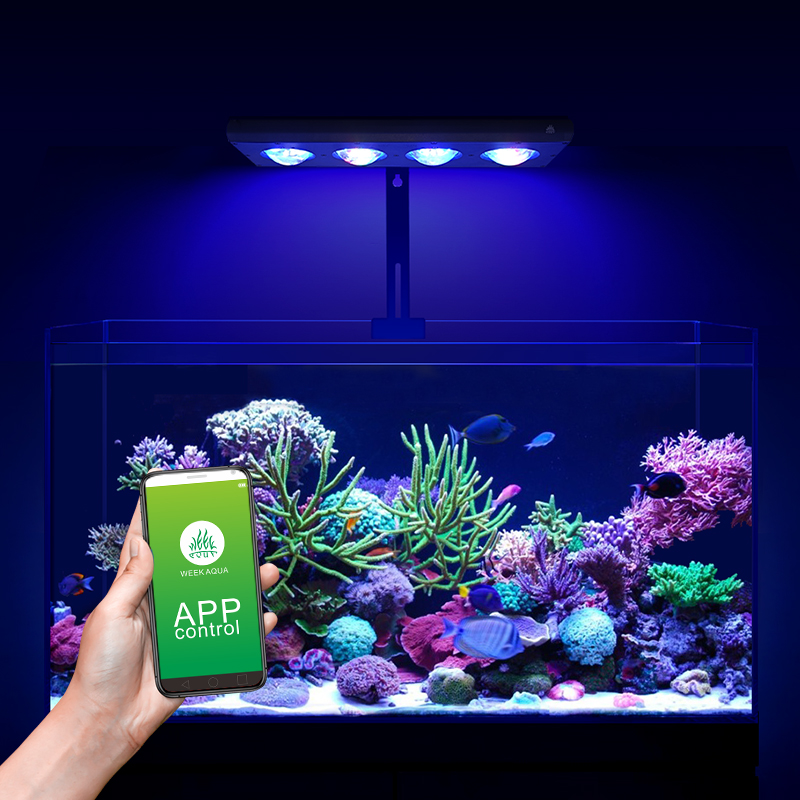 ZXY offre spéciale WEEKAQUA Z2 - Aquarium Marine Blue avis et prix