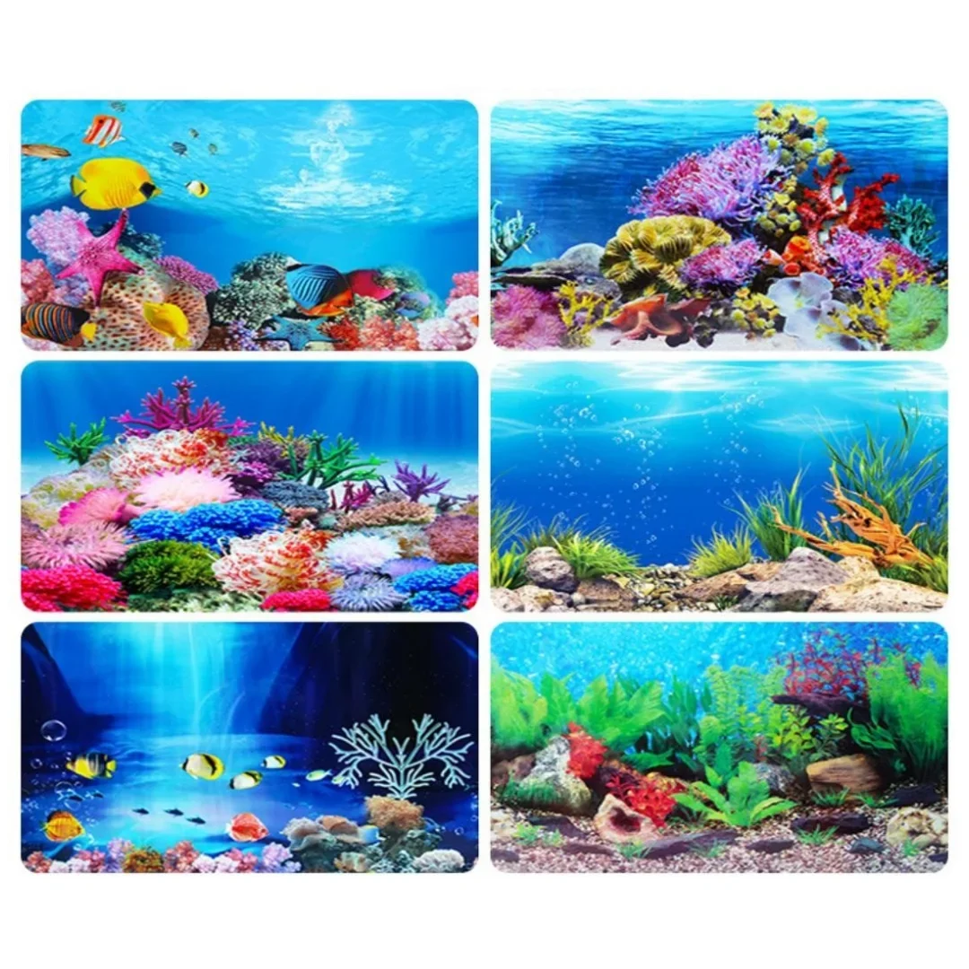Autocollant 3D de Fond d'Aquar - Marine Aquarium For Sale avis et prix