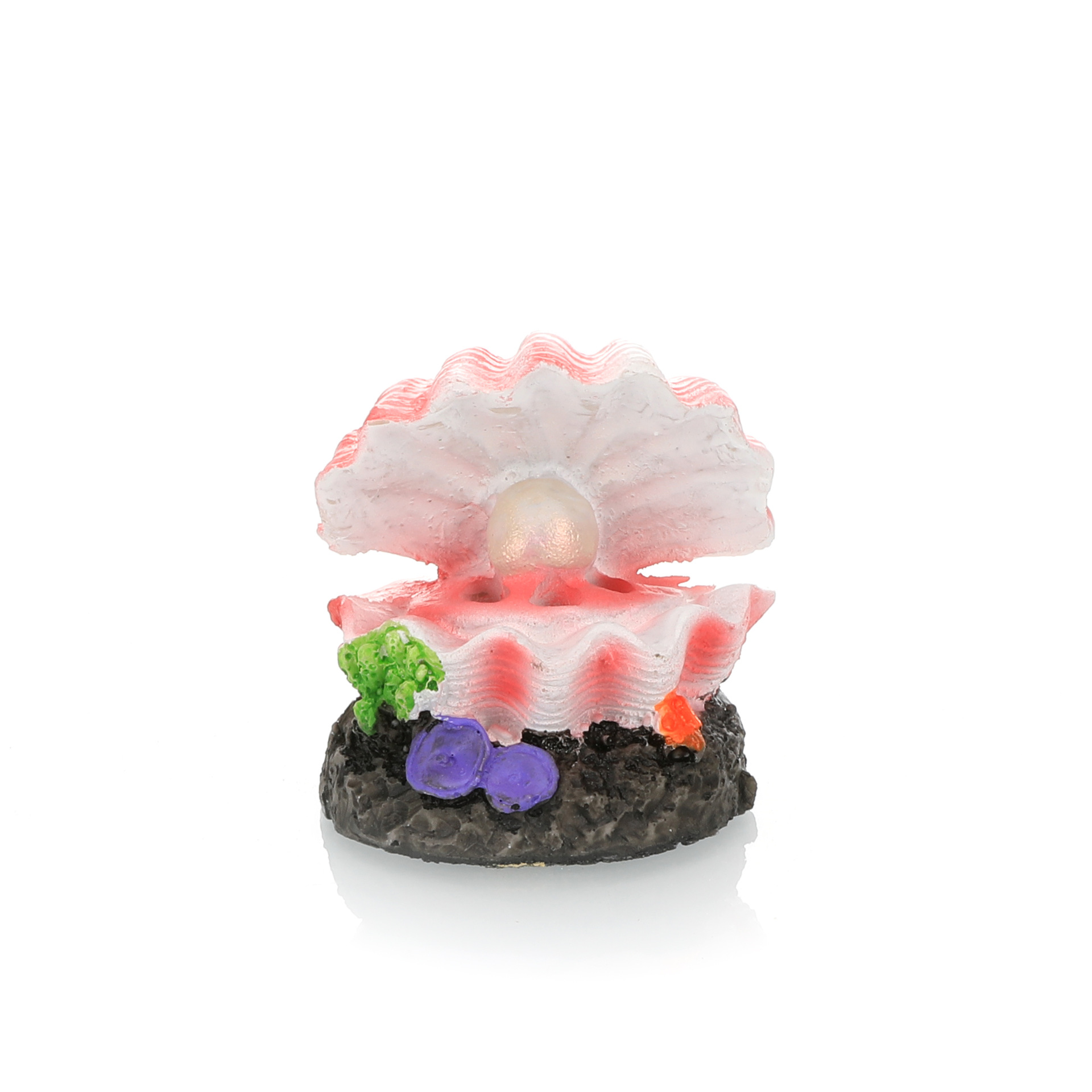 Simulation d'aménagement paysa - Marine Aquarium For Sale avis et prix