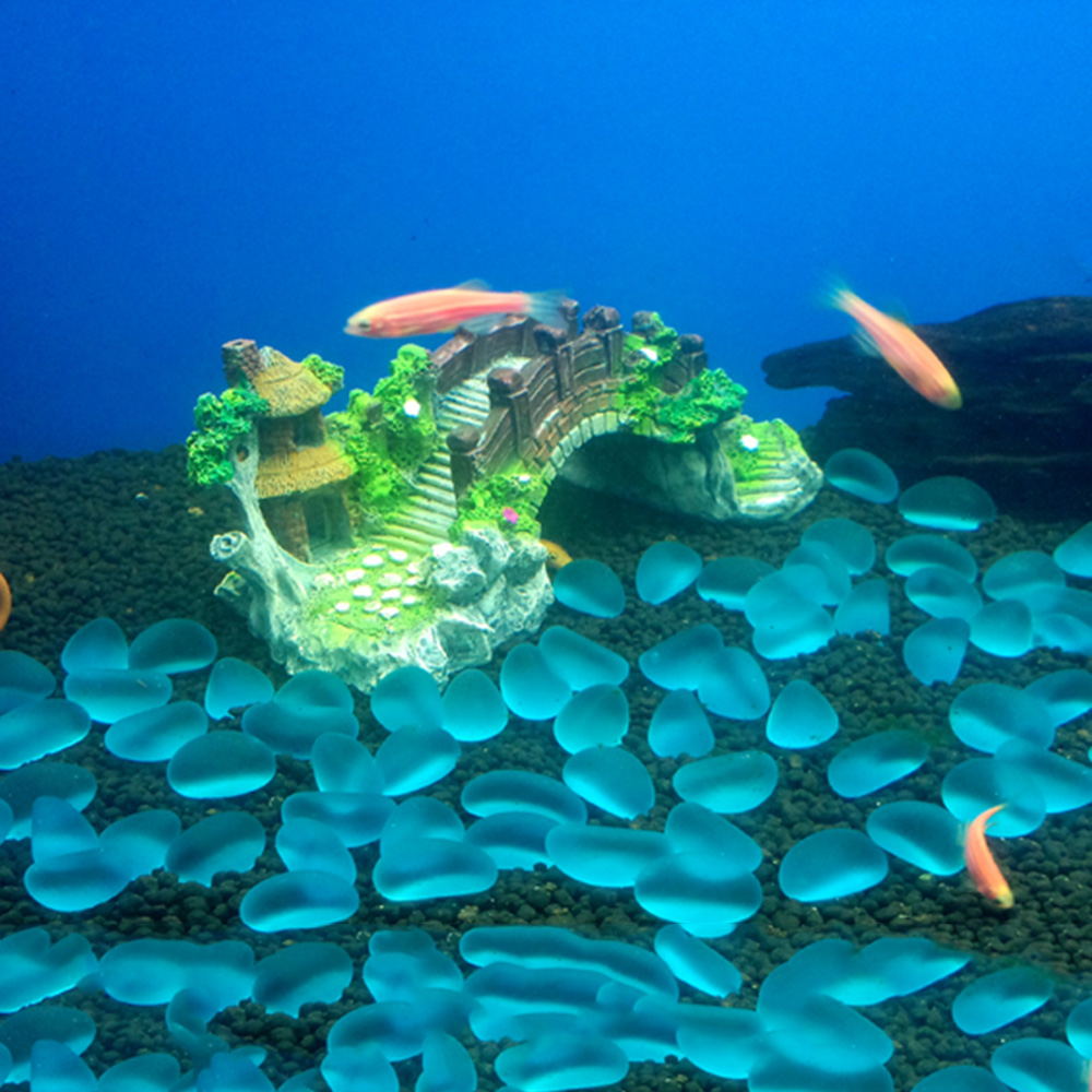 Accessoires d'aquarium arbre a - Marine Aquarium For Sale avis et prix