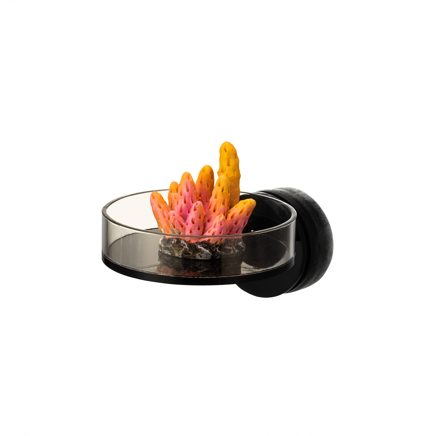 Support de Frag de corail magn - Aquarium And Marine avis et prix